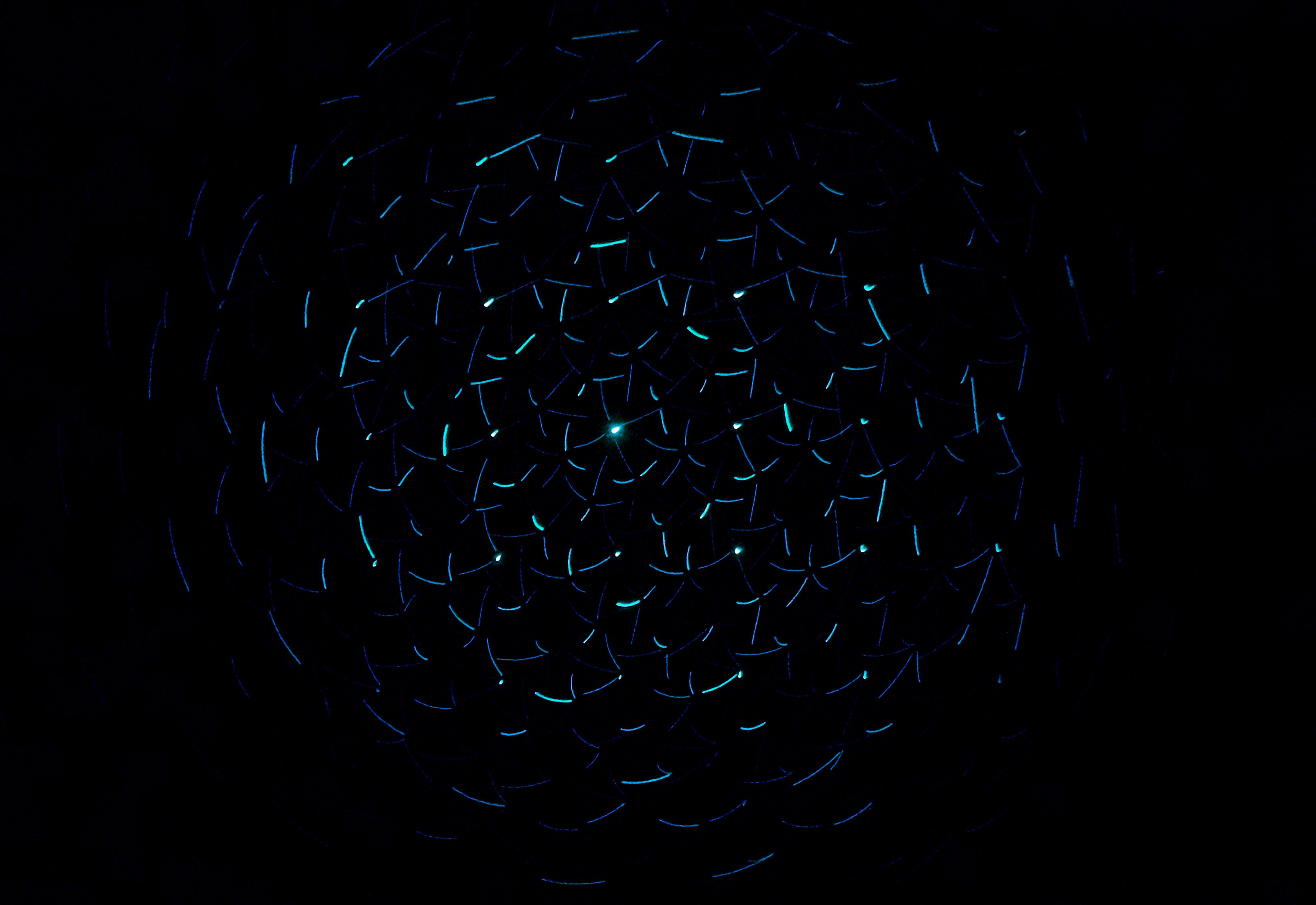 light decorations in dark area